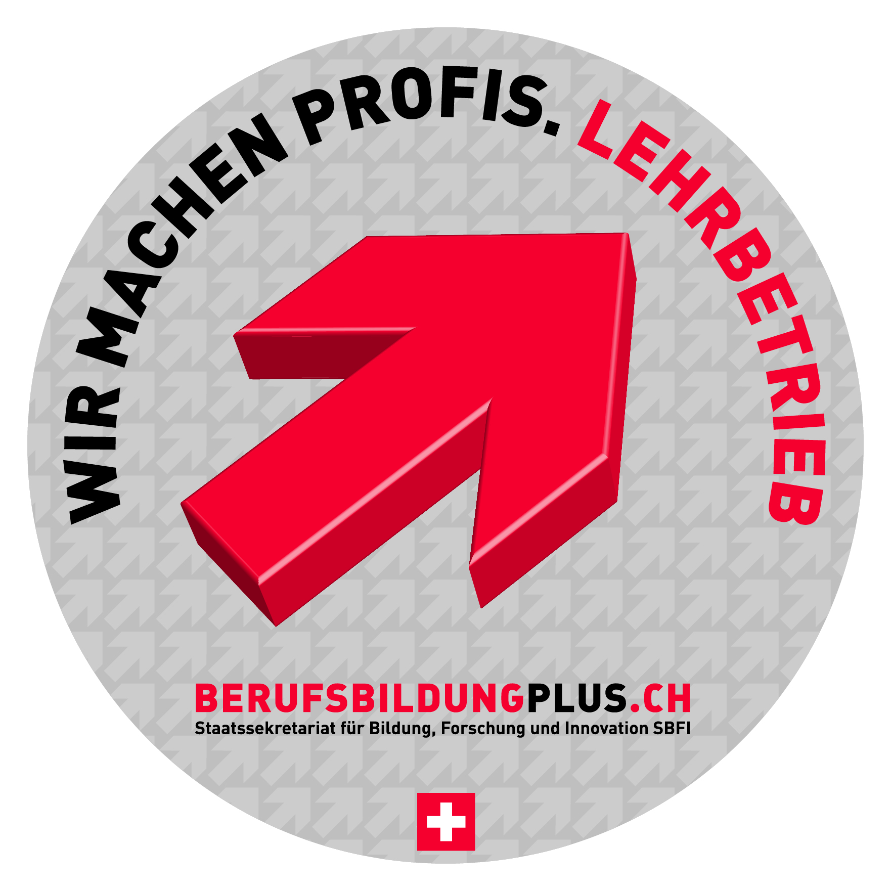 Logo Berufsbildungplus